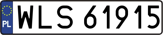 WLS61915