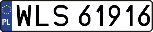 WLS61916