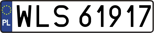 WLS61917