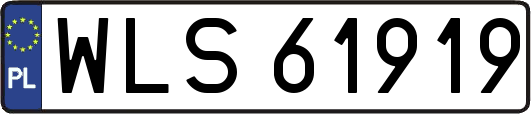 WLS61919