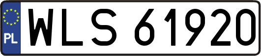 WLS61920