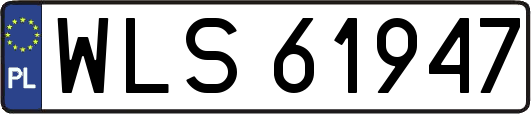 WLS61947