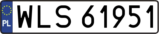 WLS61951