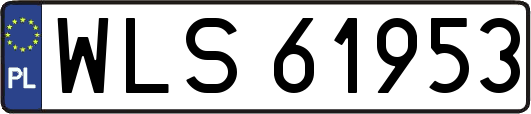 WLS61953