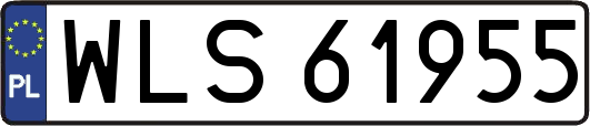 WLS61955