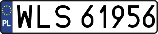 WLS61956