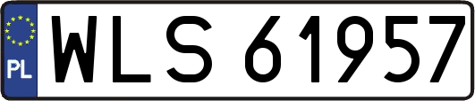 WLS61957