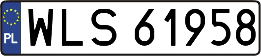 WLS61958