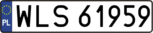 WLS61959