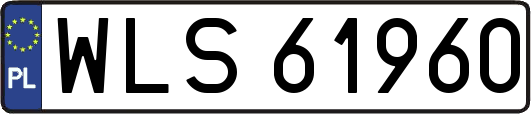 WLS61960