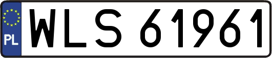 WLS61961