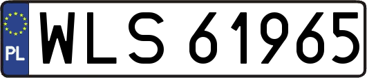 WLS61965