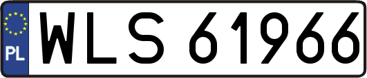 WLS61966