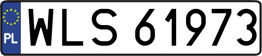 WLS61973