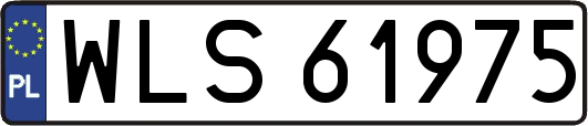 WLS61975