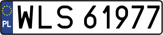 WLS61977