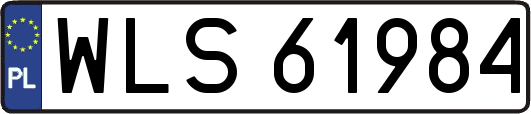 WLS61984