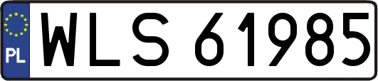 WLS61985