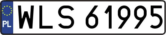 WLS61995
