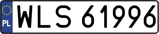 WLS61996