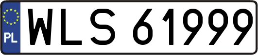WLS61999