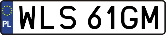 WLS61GM