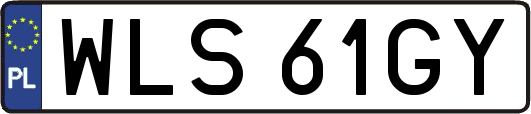 WLS61GY