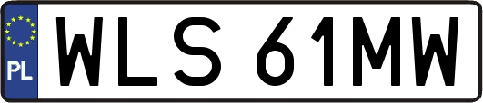 WLS61MW