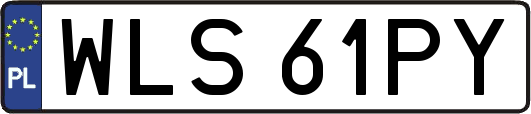 WLS61PY