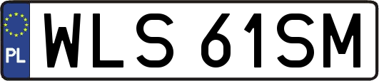 WLS61SM