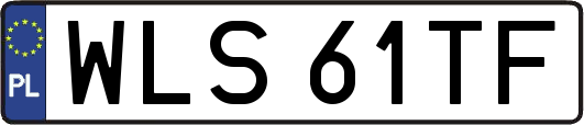 WLS61TF
