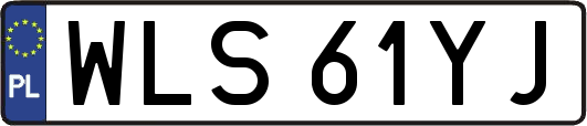 WLS61YJ