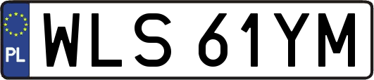 WLS61YM