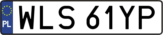 WLS61YP
