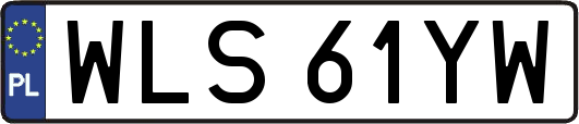 WLS61YW