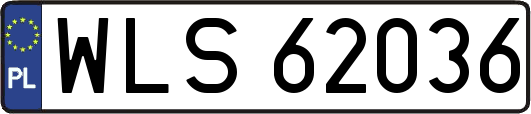 WLS62036