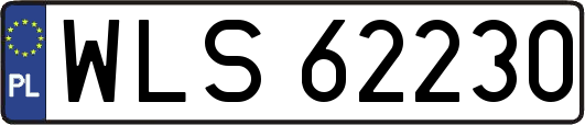 WLS62230