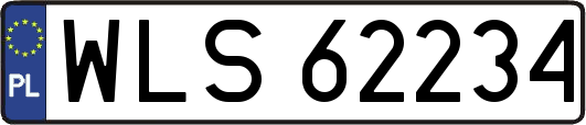 WLS62234
