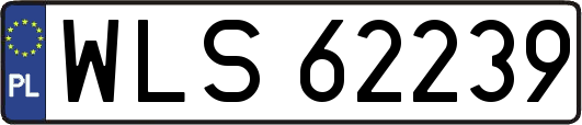 WLS62239