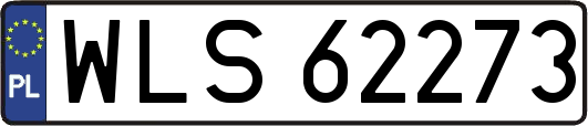 WLS62273