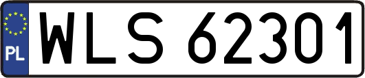 WLS62301