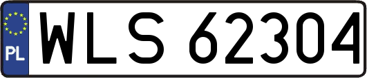 WLS62304