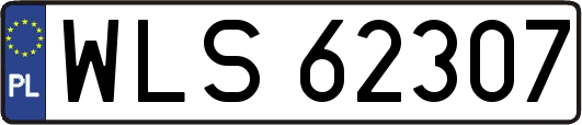 WLS62307