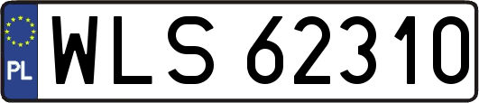 WLS62310