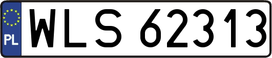 WLS62313