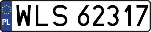WLS62317