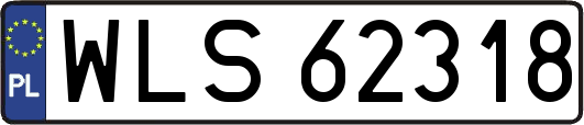 WLS62318