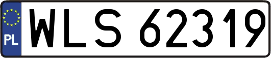 WLS62319
