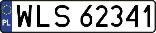 WLS62341