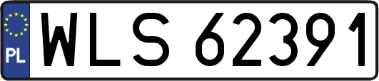 WLS62391